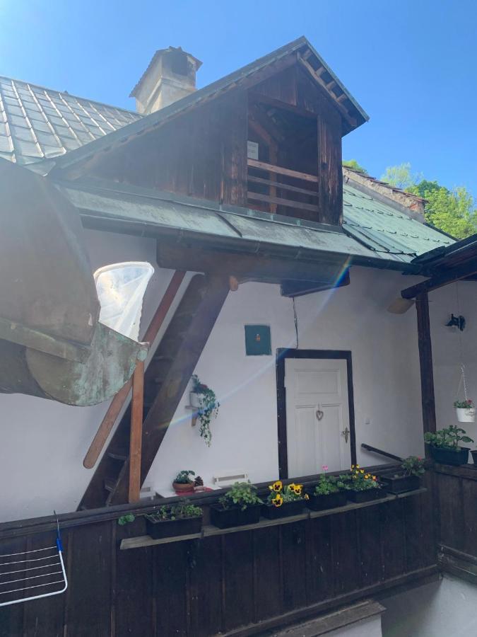 Loft Natalya Gold Apartment Český Krumlov Exterior foto